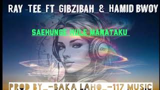 RayTee FtGibzibahampHamid BwoyProd byBaka laho117 music2024 [upl. by Ennovoj]