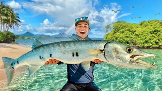 Barracuda géant de la Guadeloupe la grande mission de pêche exotique [upl. by Banquer489]