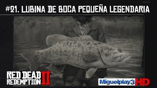 Localización Lubina de Boca pequeña legendaria  21Compendio Peces  Red dead redemption 2 [upl. by Vivle]