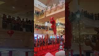 Barongsai at Puri Indah Mall ytshorts vlog fyp barongsai [upl. by Tamara528]