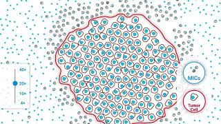 Applying the 20X Rule for Scoring CPS  A Precision Pathology Training Video [upl. by Ardnauq]