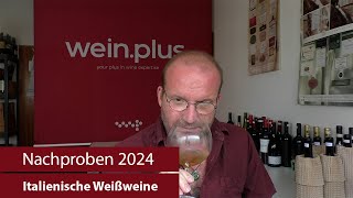 Nachproben 2024  Italienische Weißweine [upl. by Madden837]