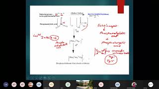 Estimation of Protein by Lowry Method [upl. by Astrix]