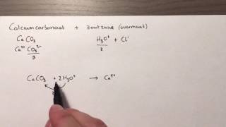 Reactie tussen calciumcarbonaat en overmaat zoutzuur [upl. by Grata]
