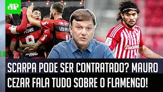 quotPelo que EU APUREI sobre o Scarpa o Flamengoquot Mauro Cezar FALA TUDO [upl. by Enoch35]