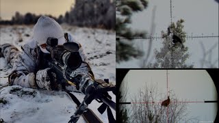 Finnish Sharpshooter Series Hunt  Tac A1 65Creedmoor  RPR 17HMR  Triggercam footages [upl. by Ellenig762]