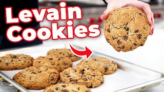 How To Make The Famous Levain Chocolate Chip Cookies [upl. by Margeaux162]