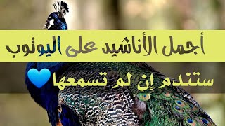 أجمل باقة أناشيد على اليوتوب💐مختارة بكل عناية وبصوت رائع لن تمل سماعها🎧💕HD anachid diniya 2021 [upl. by Swayder387]