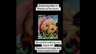 Serial dog killer on the loose in Atlanta capcut news sadnews heartbreaking iceycoffey dogs [upl. by Eneres]