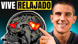 Activar esta RED NEURONAL redujo mi ANSIEDAD un 70 [upl. by Lorinda211]