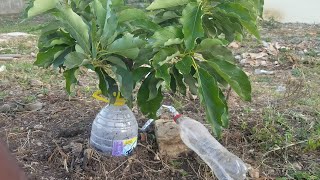 OLVIDATE DE REGAR TUS PLANTAS DURANTE DIAS GOTEOS CASERO FACIL Y RAPIDO DE HACER [upl. by Raddie]