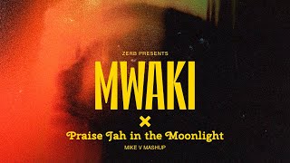 Zerb x YG Marley  Mwaki x Praise Jah in the Moonlight Maiike Mashup [upl. by Agace435]