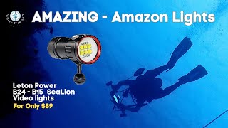 Cheap Amazon Lights  Leton Power B24 amp B15 Sealion  Updated Review [upl. by Carmel381]