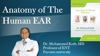 Anatomy of the human ear the external amp middle earpart1 Professor Dr Mohamed Qotb [upl. by Aiotal786]