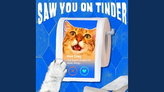 Saw You On Tinder [upl. by Hserus]