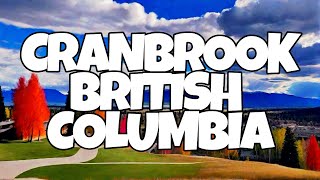 Best Things To Do in Cranbrook British Columbia [upl. by Merna]