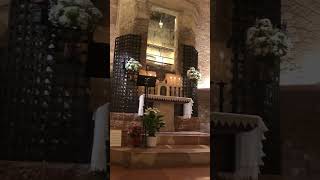 A Beautiful glorious churches in Assisi Basilica of Santa Maria Degli Angeli Santa Maria travel [upl. by Annah161]