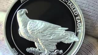 Magnificent high relief Wedgetailed Eagle 2016 gold amp silver proof coins [upl. by Woehick547]