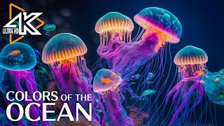 The Ocean 4K  Captivating Moments with Jellyfish and Fish in the Ocean  Relaxation Video 2 [upl. by Remmos]