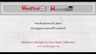 Mechanism of Labor in Occipito Lateral Position Flowchart [upl. by Anilra]