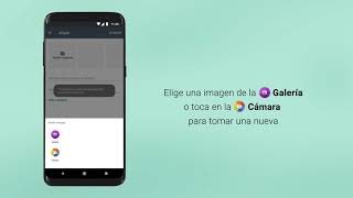 Cómo usar el catálogo en WhatsApp Business [upl. by Acenes721]