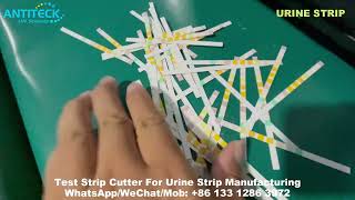 Test Strip Cutter For Urine Test Strips And Rapid Test Manufacturing  Lateral Flow Assay Strip [upl. by Llemmart]