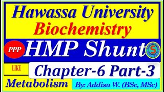 carbohydrates metabolism glycolysis ppp malaria university hamsterkombat tapswap [upl. by Demott]