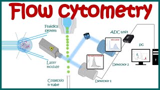 Flow cytometry  basic principles  What the use of flow cytometry   Cell sorting by FACS [upl. by Ginny]