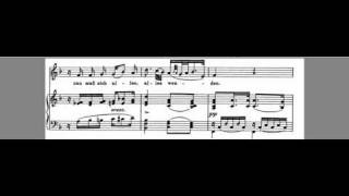 Frühlingsglaube Accompaniment Franz Schubert Low key F [upl. by Eldwen]