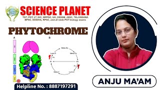 PHYTOCHROME II BY ANJU MAM II SCIENCE PLANET II [upl. by Laughton]