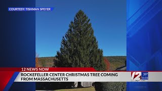 This years Rockefeller Center tree will travel to New York from Massachusetts [upl. by Anirehc]