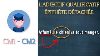 Ladjectif qualificatif épithète détachée  CM1 CM2  Petits Savants [upl. by Nojad]