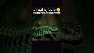 Amazing facts facts rochaktathyainhindi shortvideo funny [upl. by Plath260]