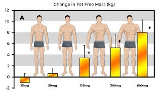 Exactly How Much Muscle Does 25mg 50mg 125mg 300mg amp 600mg Of Testosterone Build [upl. by Malamut]