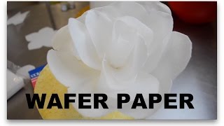 How To Make WAFER PAPER FLOWERS [upl. by Kryska]