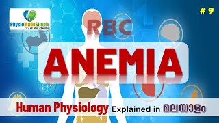 Ep9  RBC  Anemia  Malayalam [upl. by Evander617]