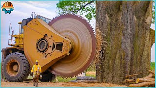 150 Fastest Big Chainsaw Cutting Tree Machines Skills  Tree Felling Climbing With Chainsaw [upl. by Nela]