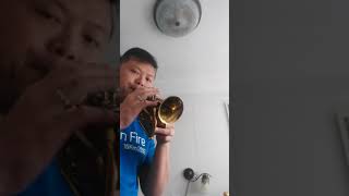 Carol brass pocket trumpet vs mini pocket [upl. by Terriss]