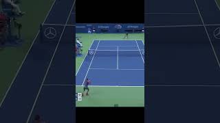 Federer  Del Potro Super Point Us Open [upl. by Calle]