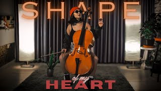 Shape of My Heart Cello Cover by Vesislava [upl. by Oeram]