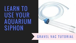 How to use Aquarium Siphon [upl. by Hannaj]