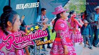 REBEQUITAS DE🎵 CHUMBIVILCAS CARGO DE ROMULO CHALLCO Y ROSA ALCCAHUAMAN  Mira flores 2024 [upl. by Tnias931]