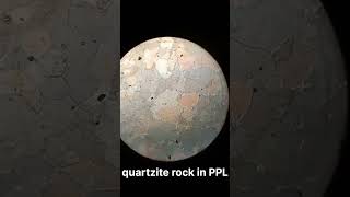 Quartzite thin sectiongeology rock microscope thin section minerlogy [upl. by Annoirb347]