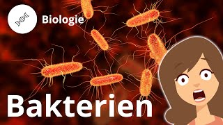 Aufbau einer Bakterienzelle – Biologie Duden Learnattack [upl. by Lubow]