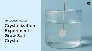 Crystallization Experiment  Grow Salt Crystals  DIY Science Project [upl. by Selina863]