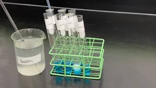 Benedicts Test for the presence of reducing sugars [upl. by Nomihs]