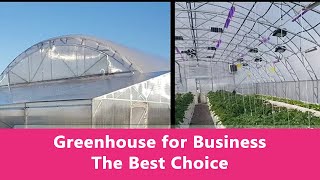 Industrial Greenhouse for Business The Best Choice [upl. by Thorwald206]