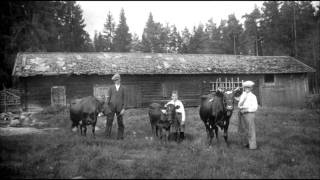 Svensk folkmusik  Låt Till Far [upl. by Alemrac]