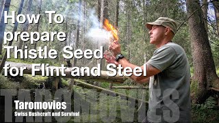 How to prepare Thistle Seed Tinder for Flint and Steel  BushcraftSurvival  4K [upl. by Aserehs]