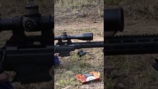 Tikka Tac A1 longrangeshooting tikka ozziereviews 223 gun longrange target [upl. by Lombard]